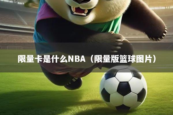 限量卡是什么NBA(限量版篮球图片)